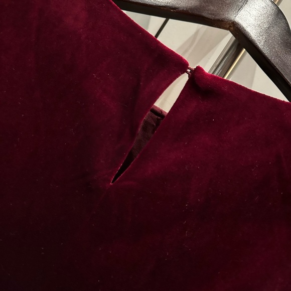 Bishop & Young Hayden red/burgundy Velvet Dress - Picture 8 of 9